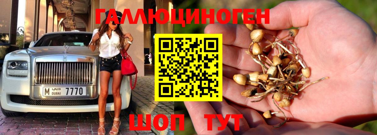 Псилоцибиновые грибы GOLDEN TEACHER  Вход с VPN  Шелехов 